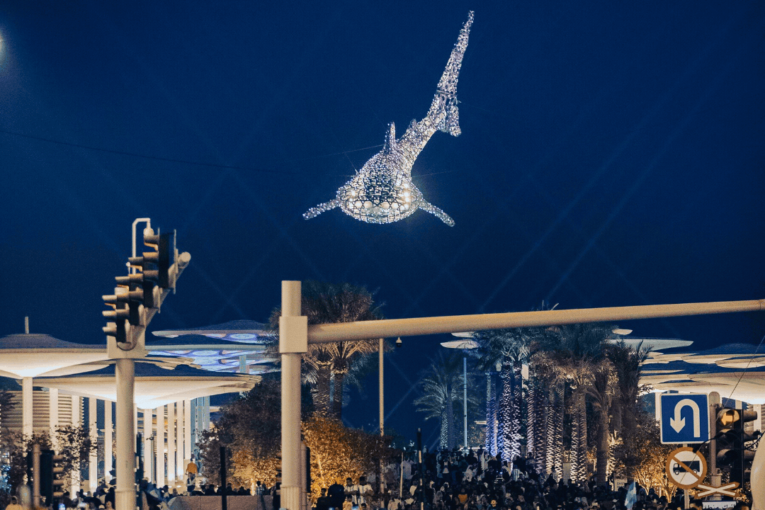 balich wonder studio