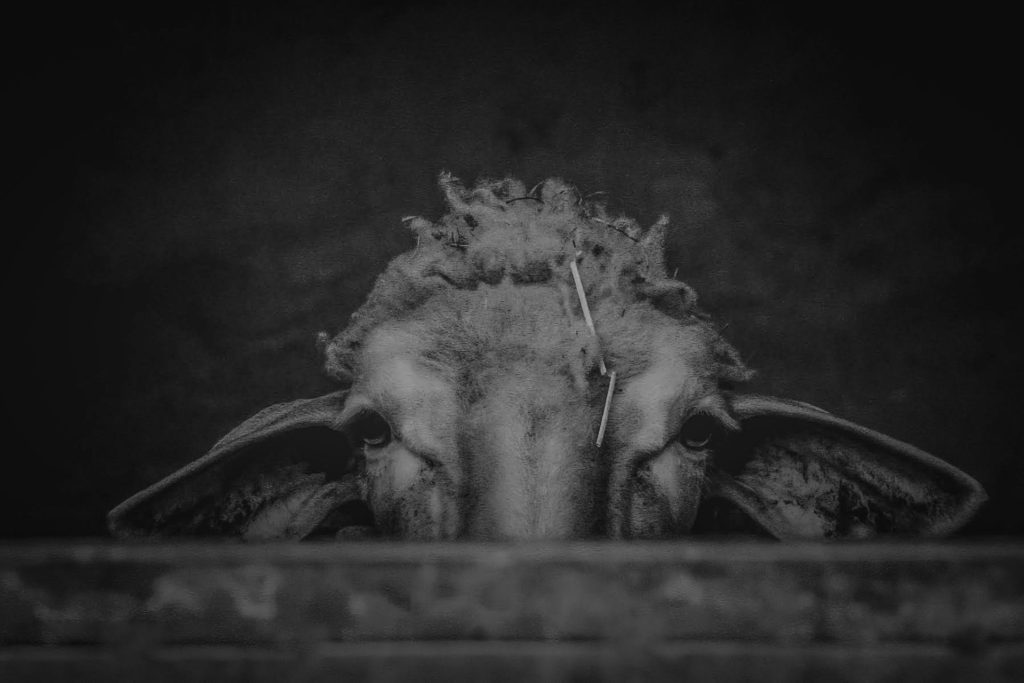 20200624184611 IMG 9432 1