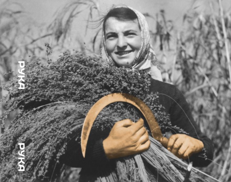 izložb
