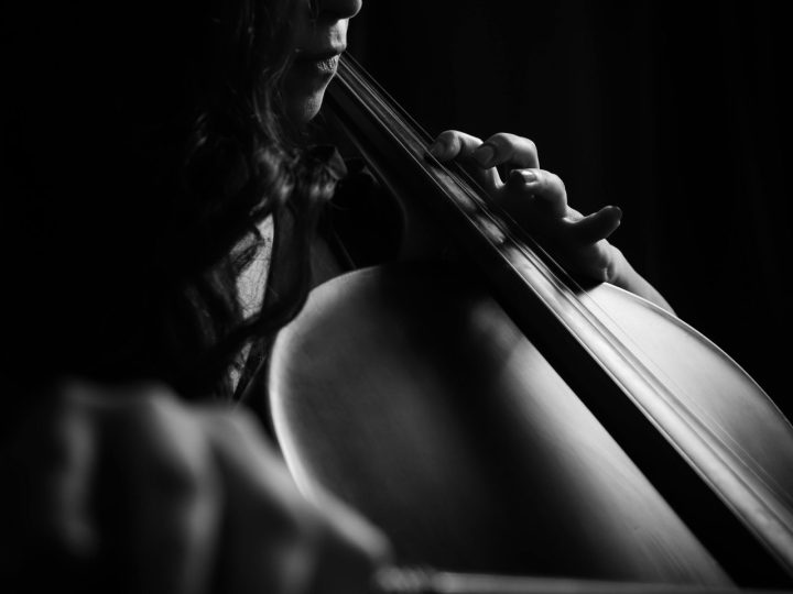 pexels emrah yazicioglu 275583761 15427433