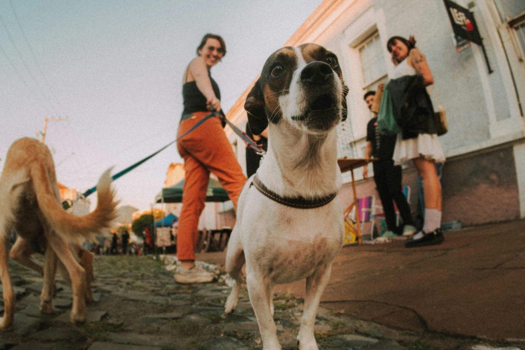 Mapirali smo nova mesta za spontana poznanstva 9 Mesta