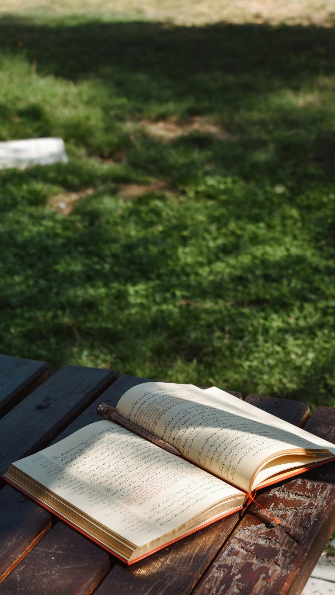 pexels seymasungr 1499342462 31544415