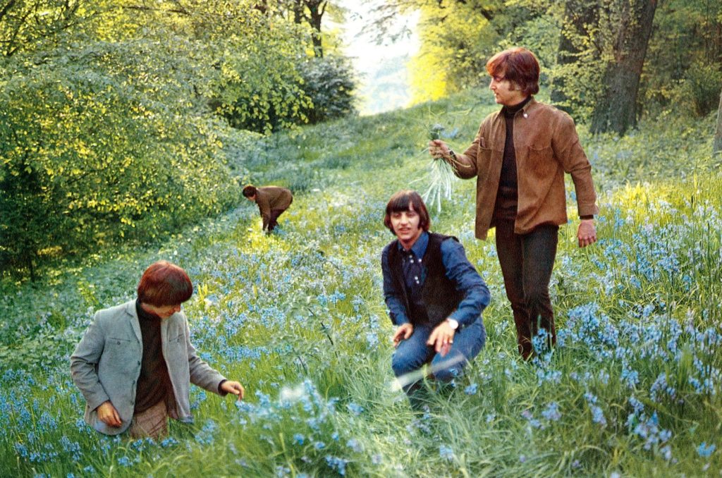 The Beatles