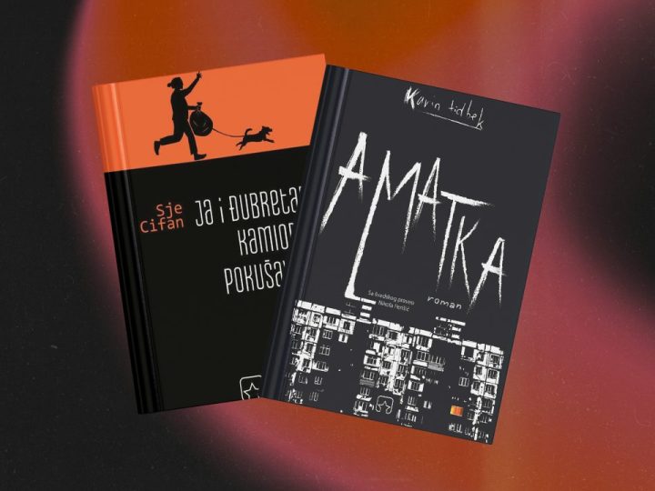 Partizanska knjiga