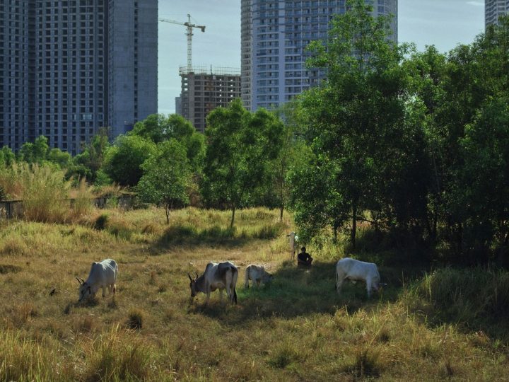 Kadar iz filma Obecani prostori foto Ivan Markovic 71