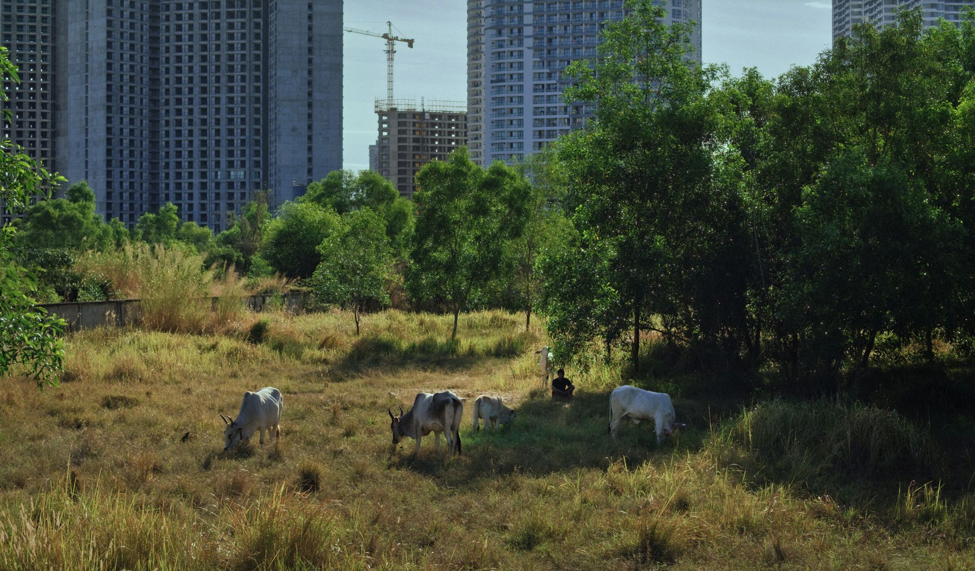 Kadar iz filma Obecani prostori foto Ivan Markovic 71