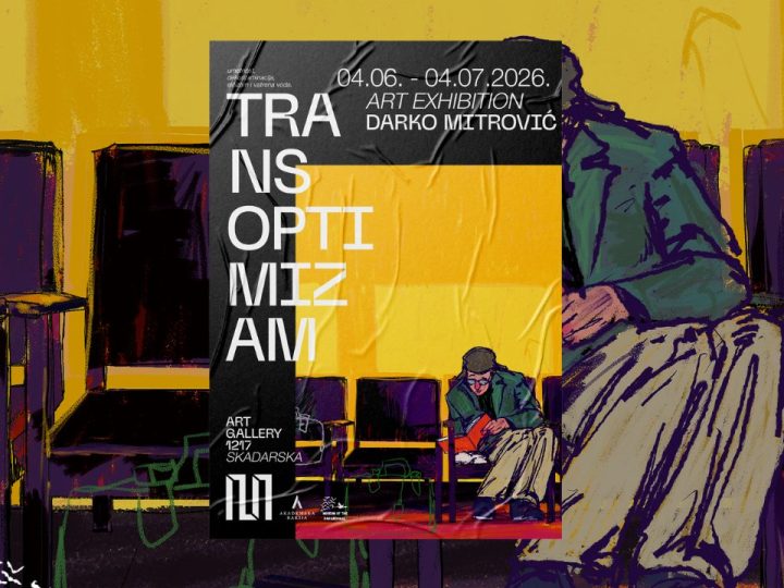 darko mitrovic transpotizam gallery 1217