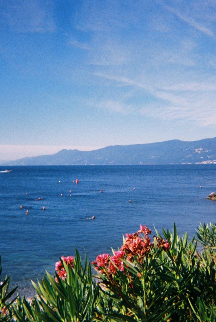 SURF festival KRK