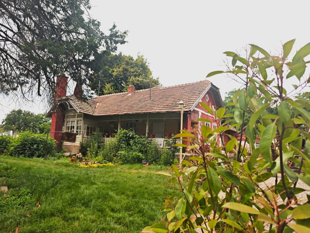IMG 20260609 140959
