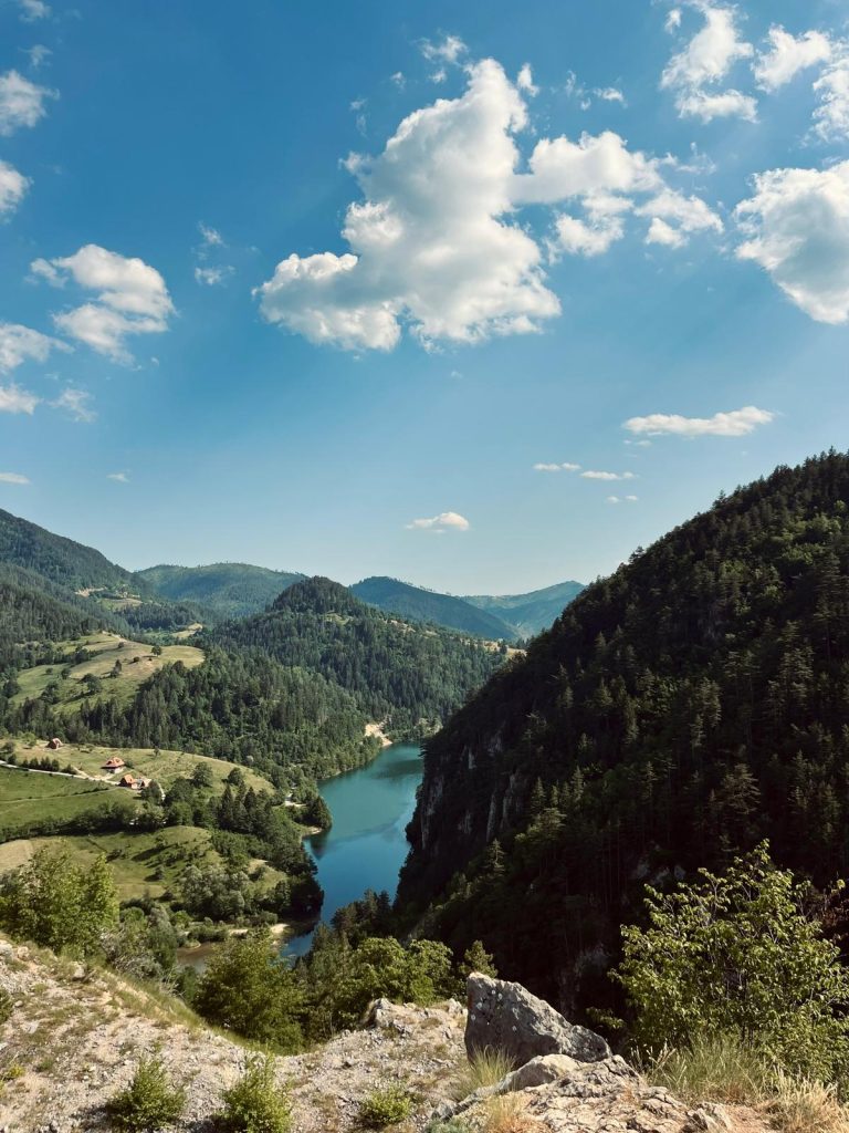 5 zelenih oaza u Srbiji, inspirisanih Svetskim danom prašuma 11 Svetski dan prašuma