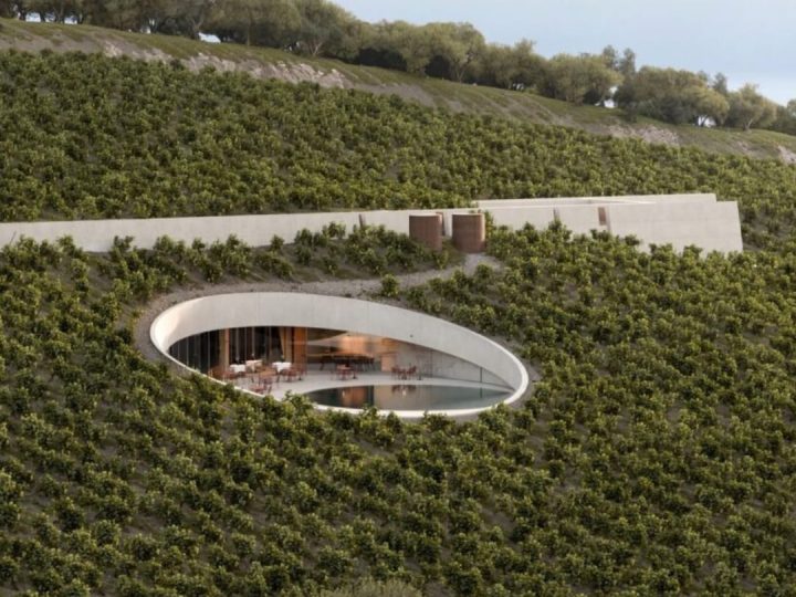 vinarija Ktima Aidipsos