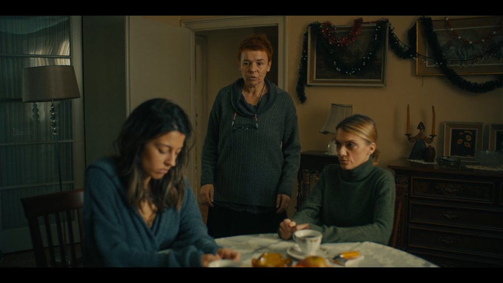 O seriji „Škripac": Domovina straha i potisnutih sećanja 8 4
