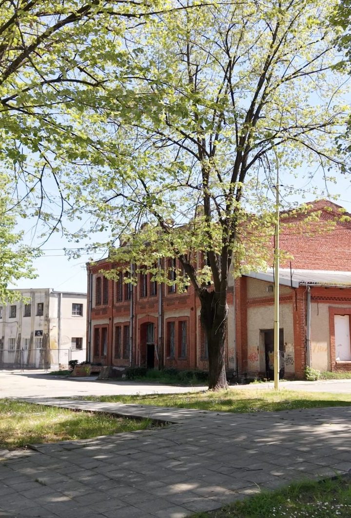 kragujevac vibe