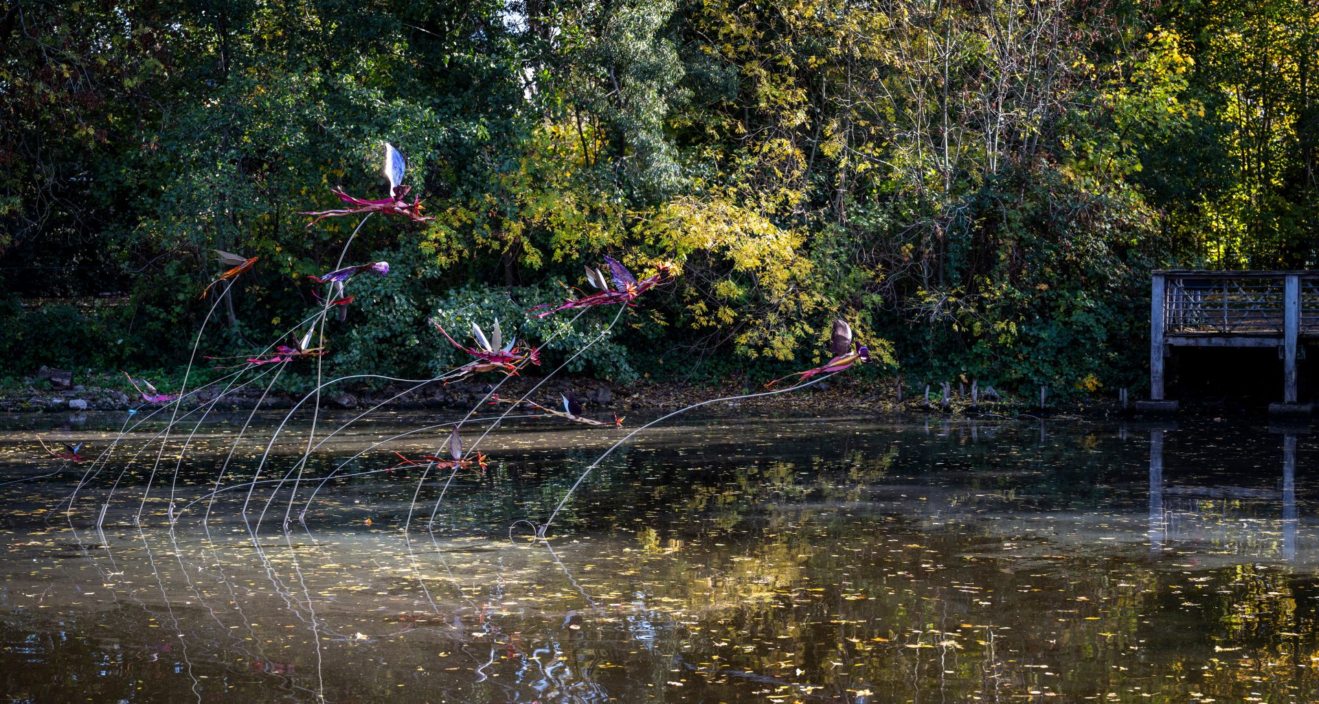 To move is to bloom by Vladimir Lalic photo by Kevin Percival jpg2