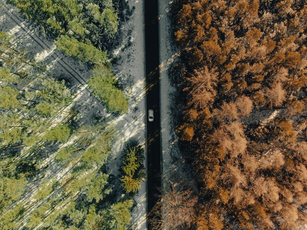 pexels dephshot 9563996