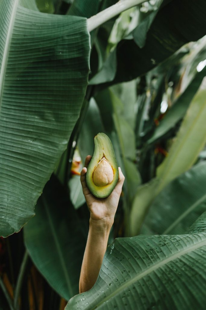avokado