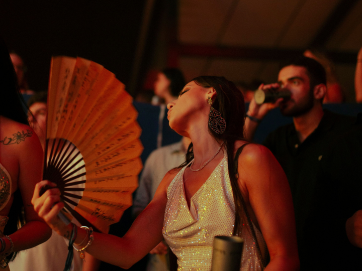 vodič muzički festival