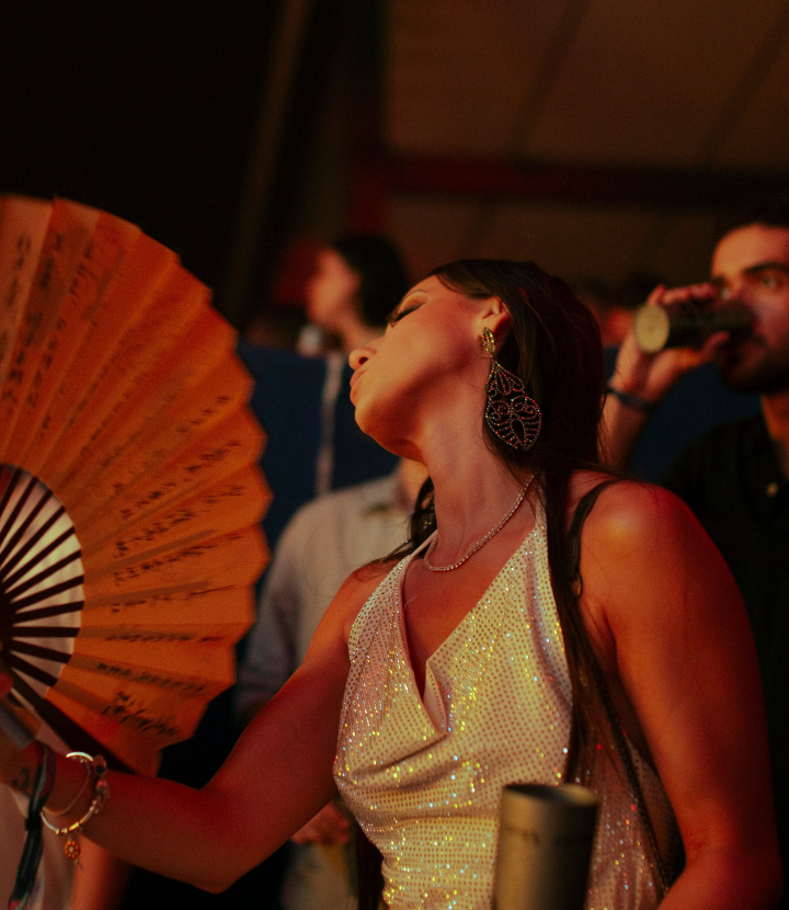 vodič muzički festival
