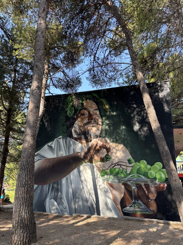 IMG 2040 scaled e1786977810763