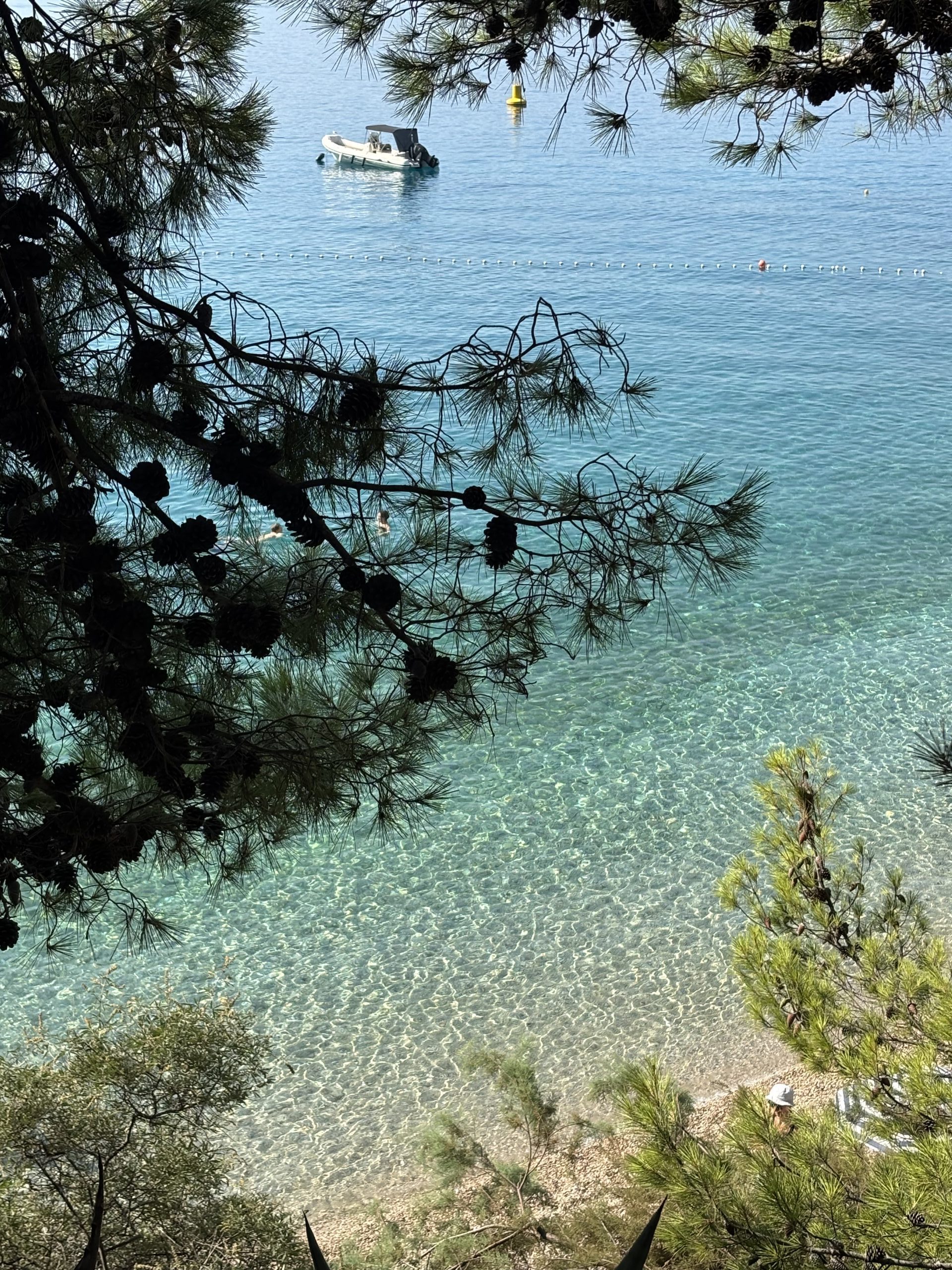 brač