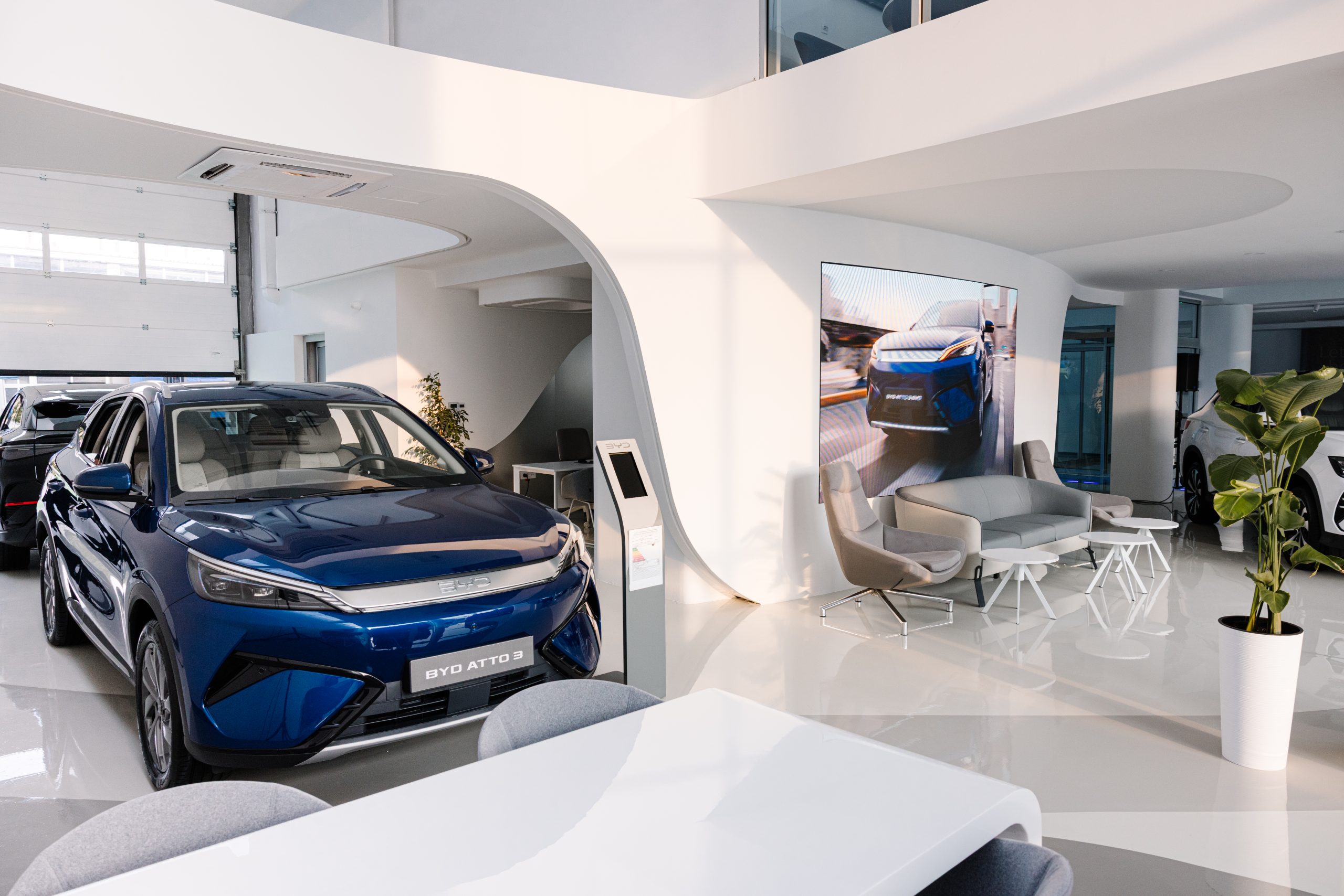 BYD Novi Sad 1 scaled