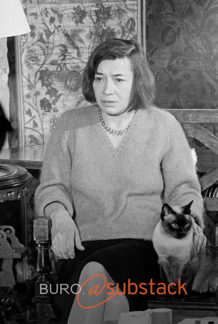 Jordan Cvetanović