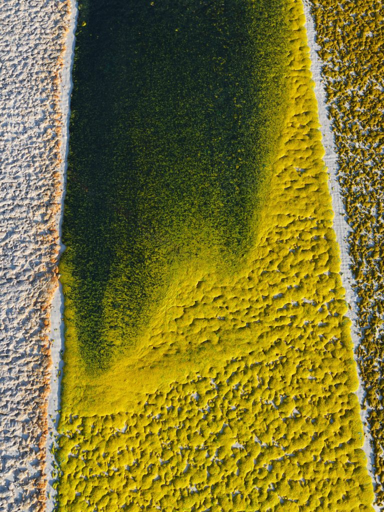 Santozeum 2022 28 MidRes
