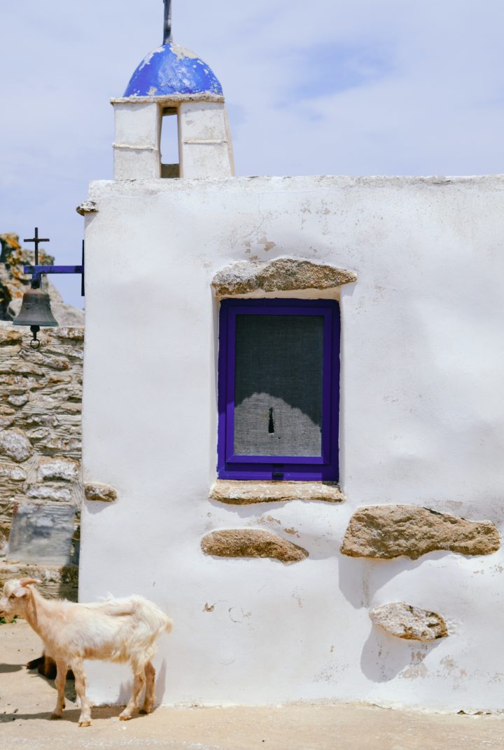 tinos