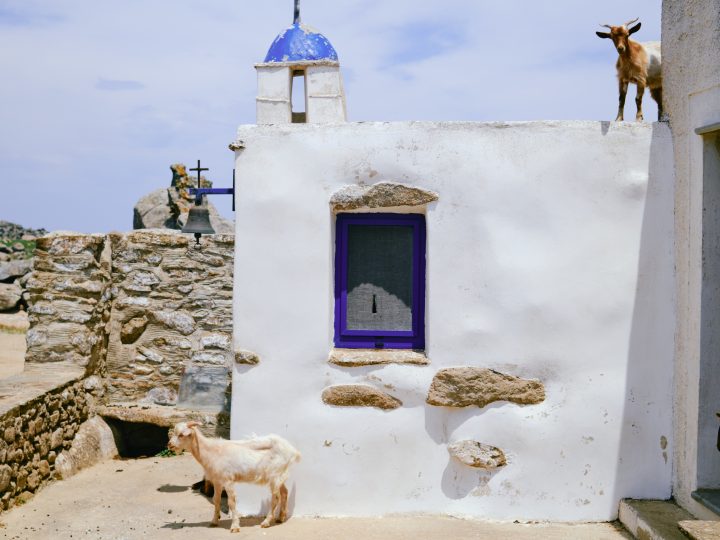 tinos