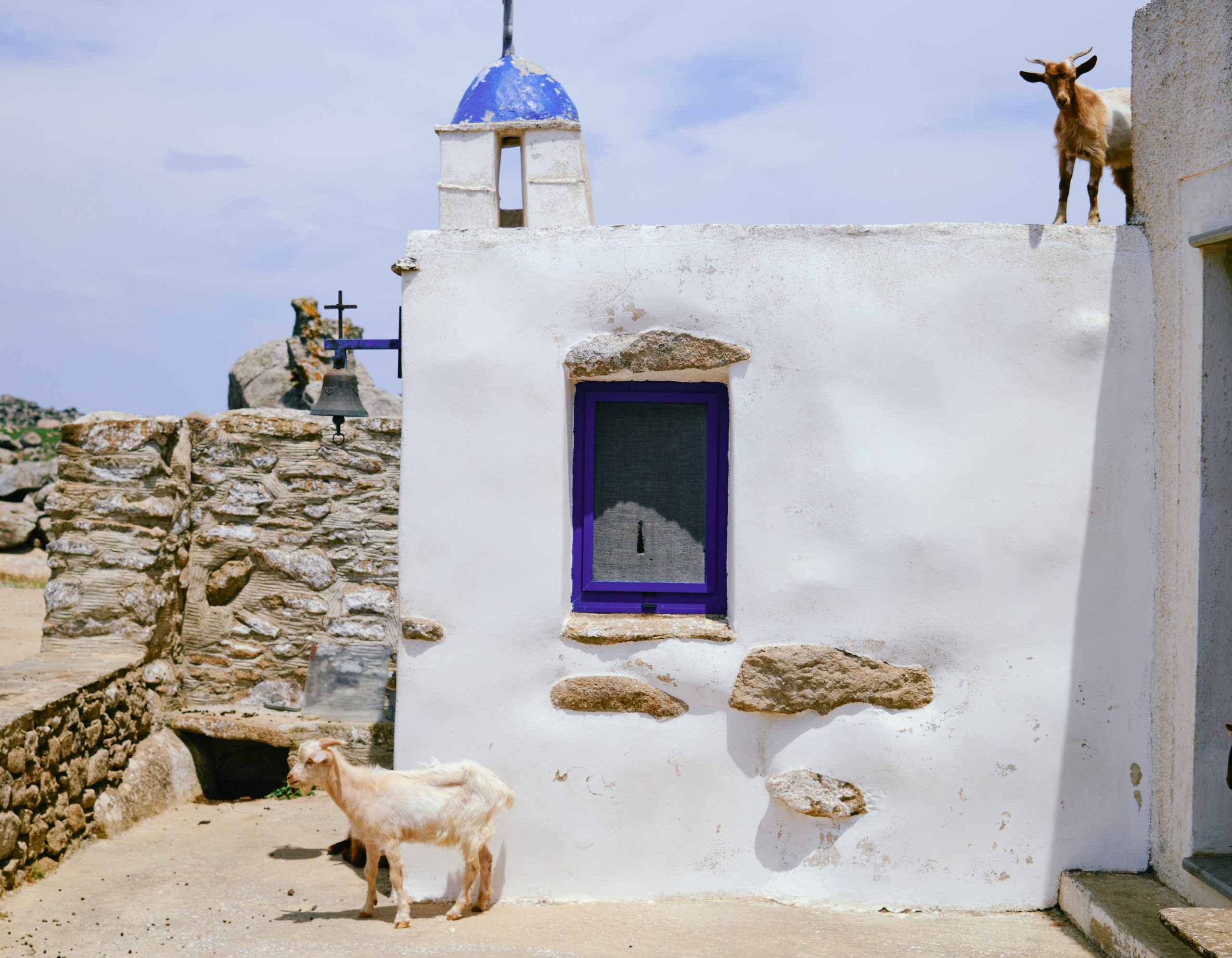 tinos