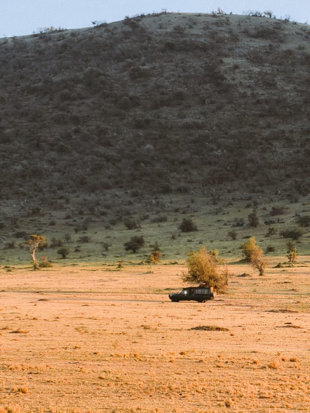 Afrički safari: S one druge strane „Kralja lavova" 24 Masai Mara 3