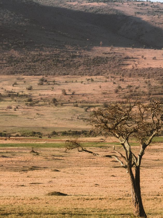 Afrički safari: S one druge strane „Kralja lavova" 25 Masai Mara 4