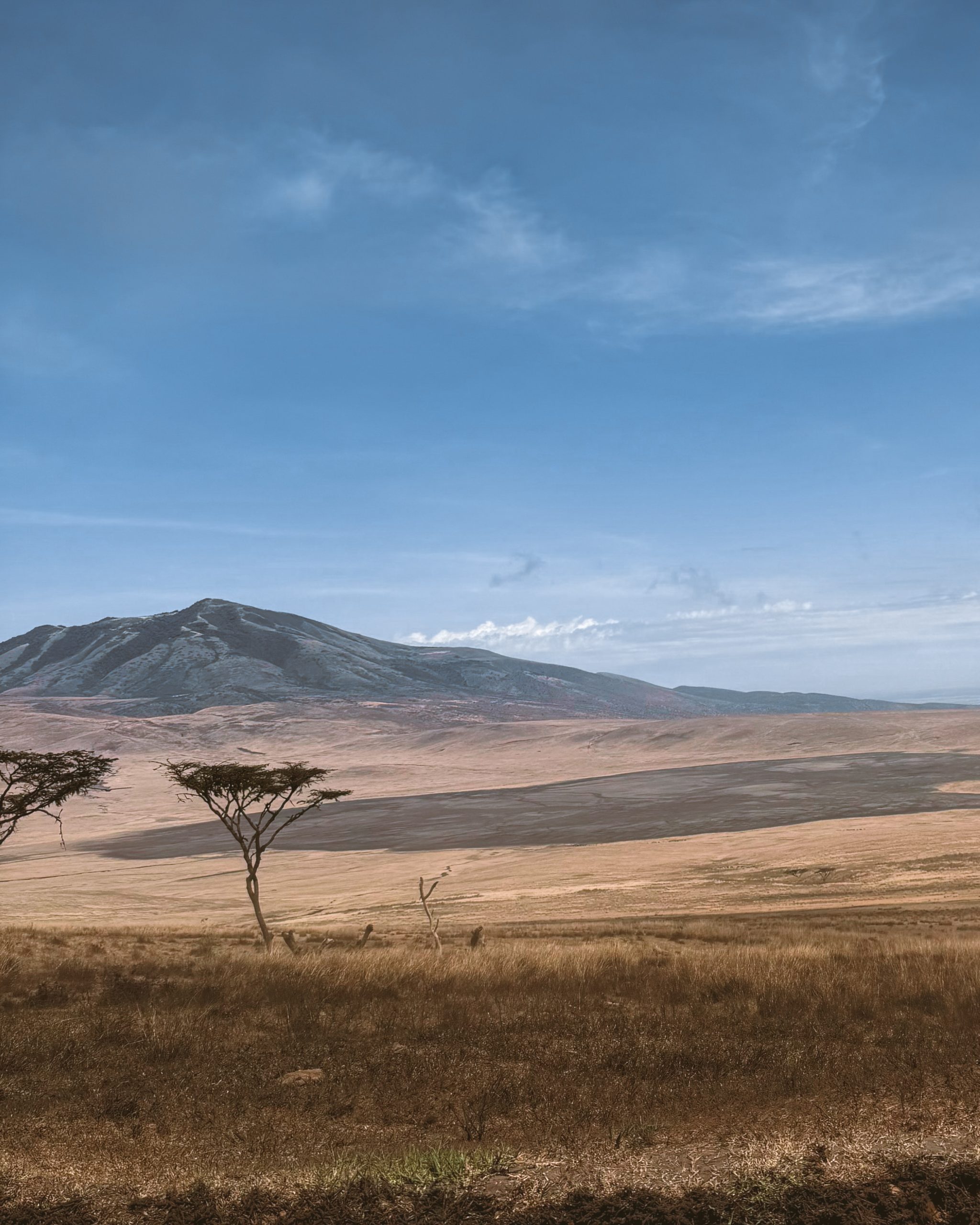 Afrički safari: S one druge strane „Kralja lavova" 31 Ngorongoro 4 scaled