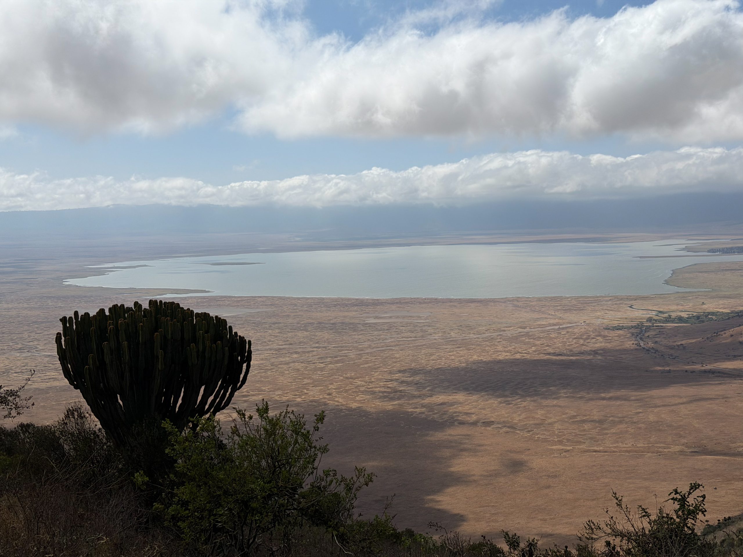 Afrički safari: S one druge strane „Kralja lavova" 28 Ngorongoro panorama 3 scaled