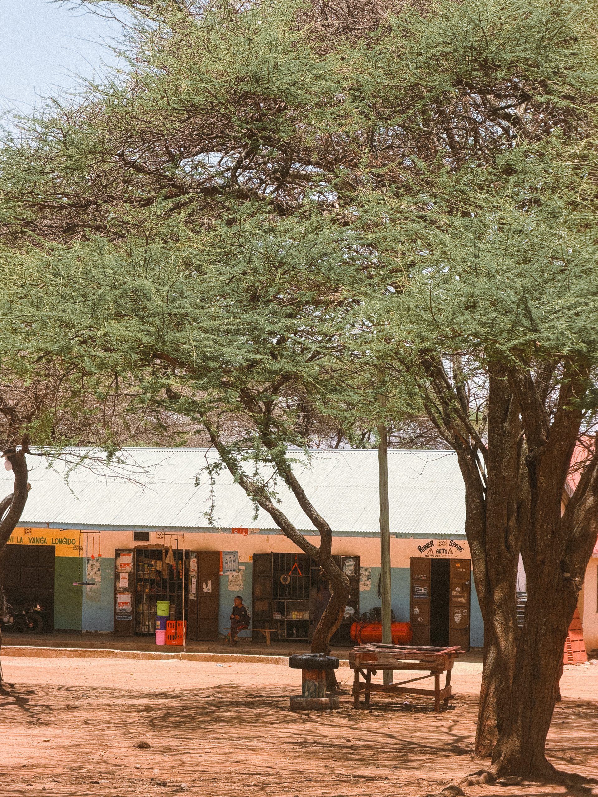 Afrički safari: S one druge strane „Kralja lavova" 27 Tanzanija 1 scaled