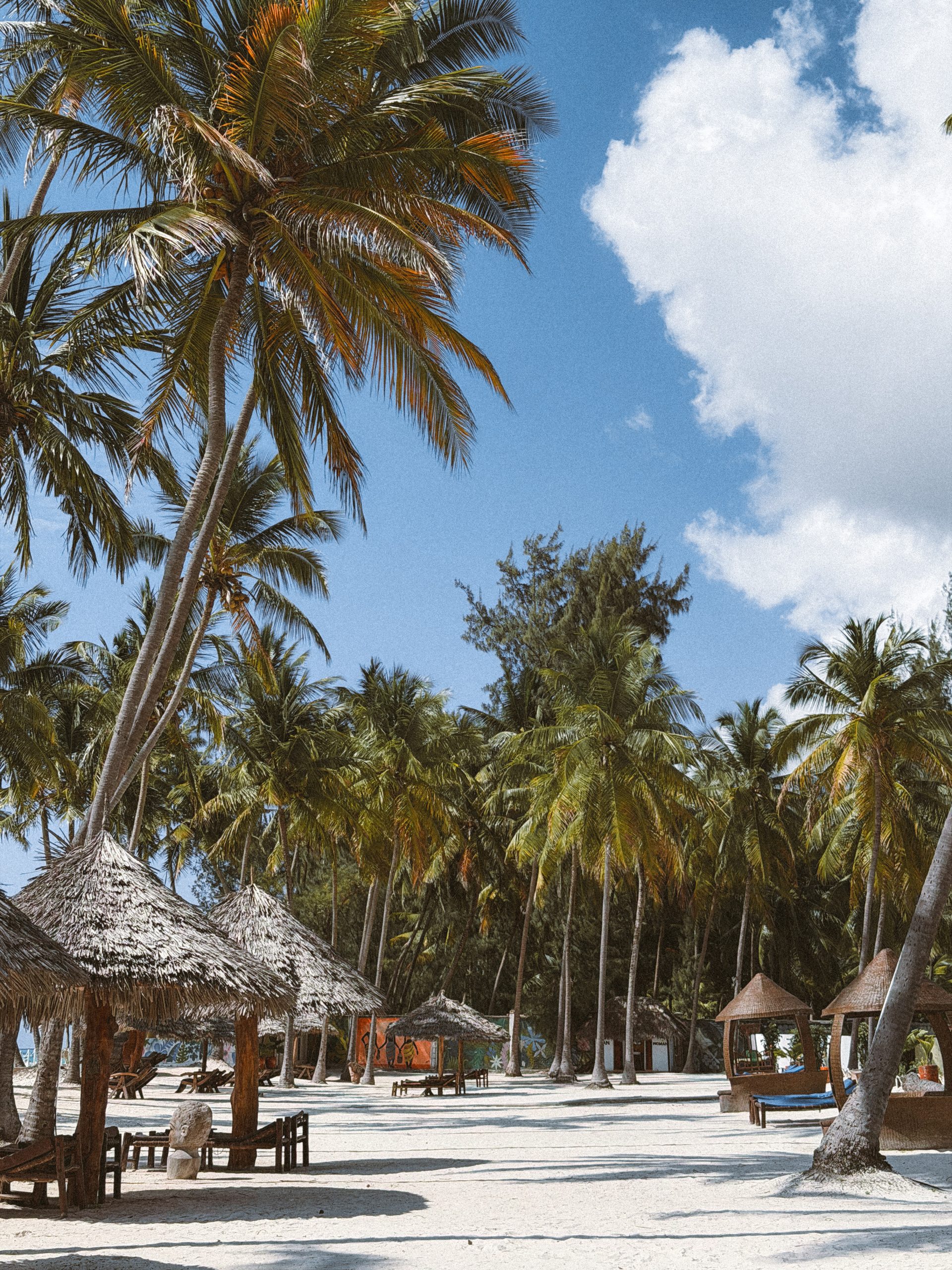 Afrički safari: S one druge strane „Kralja lavova" 36 Zanzibar 1 scaled